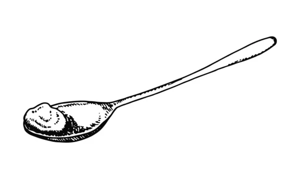 Spoon cutlery. sketch isolated vector — Stock Vector