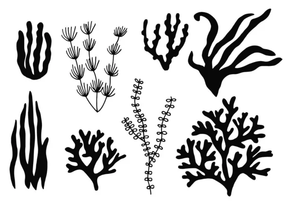 Conjunto de algas marinas. silueta sobre un fondo blanco boceto en isolatio — Archivo Imágenes Vectoriales
