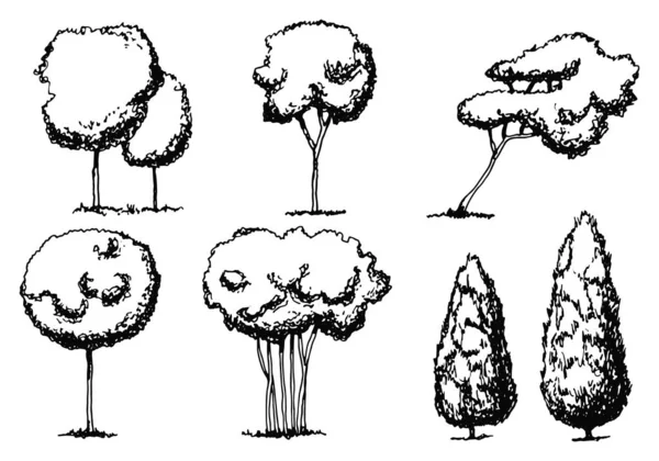 Stromy nastavit siluetu na bílém pozadí skica v izolaci — Stockový vektor