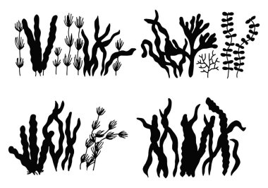 Yenilebilir deniz yosunları. izole nesneler siluetleri.