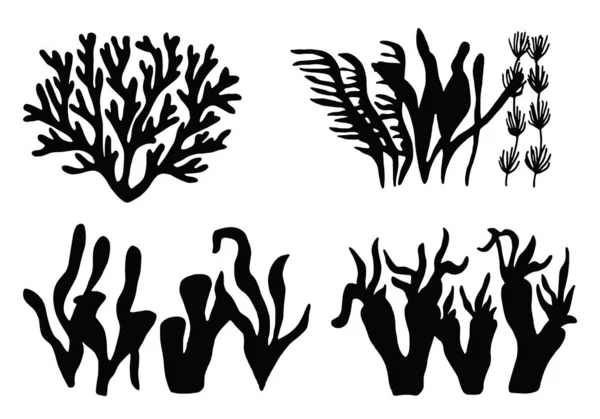 Set de nourriture marine comestible aux algues. objets isolés silhouettes . — Image vectorielle