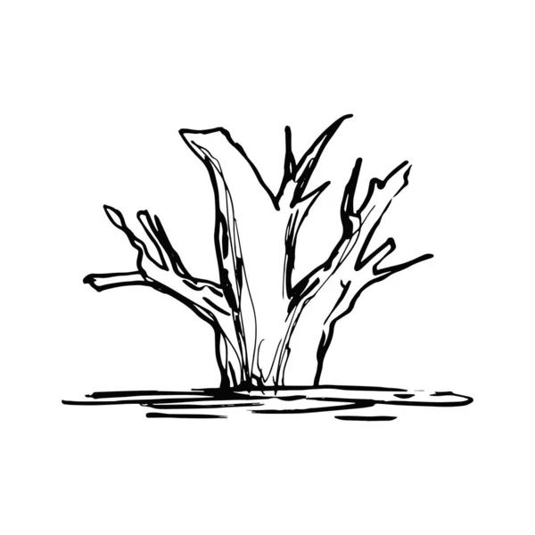 tree dry landscape sketch drawing on a white background vector