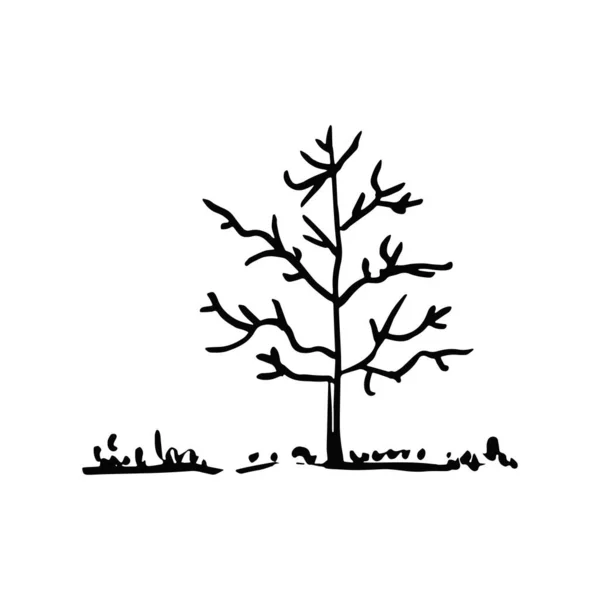 Tree Landscape Sketch Drawing White Background Vector — Stock Photo, Image