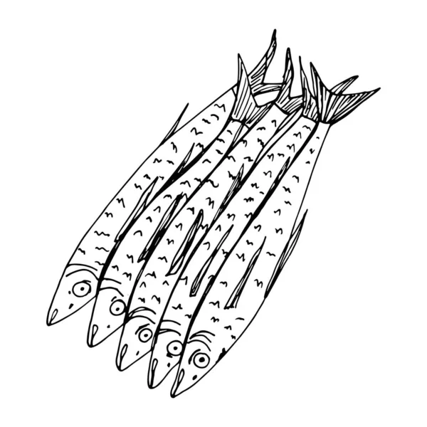 Fresh Sea Fish Sketch Isolated White Background — Stock Photo, Image