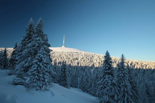 Winterlandschaft im Morgengrauen — Stockfoto