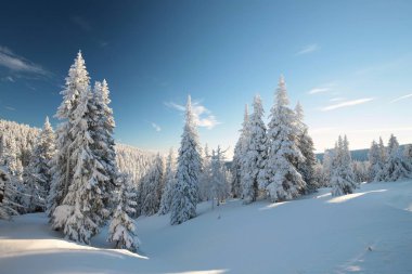 Şafakta kış manzarası