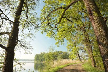 Şafakta bahar manzarası