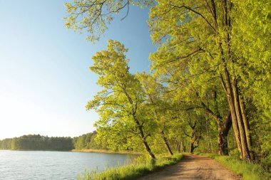 Şafakta bahar manzarası