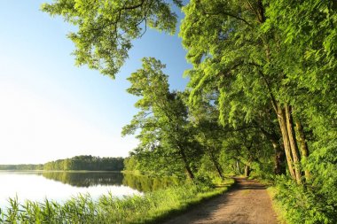 Şafakta kırsal manzara