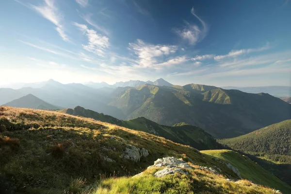 Карпатские горы на рассвете — стоковое фото