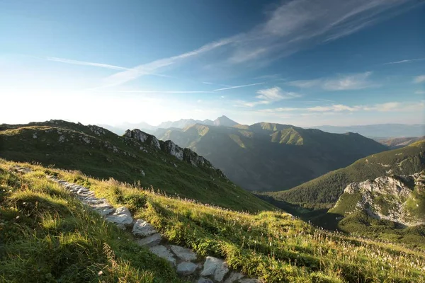 Karpatské hory při východu slunce — Stock fotografie