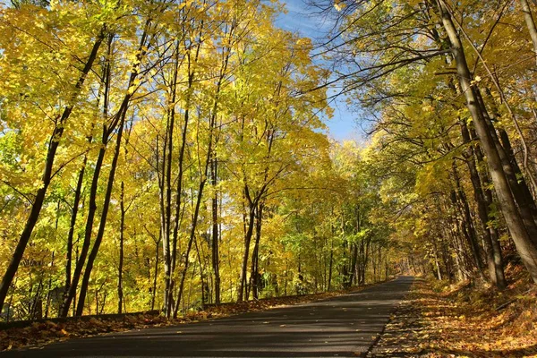 Vidéki road, őszi fák között — Stock Fotó