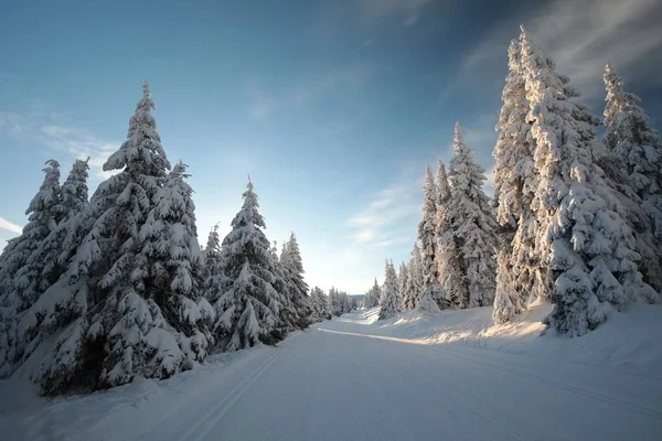 Pista Inverno Nas Montanhas Amanhecer — Fotografia de Stock