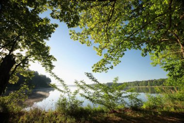 Bahar oaks şafakta Gölü kıyısında 