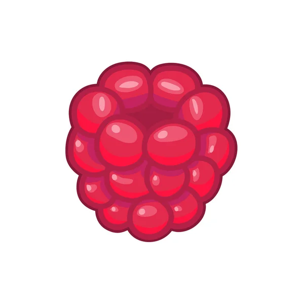 Verse roze raspberry vector — Stockvector