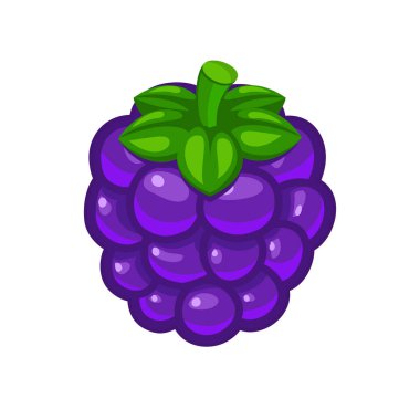 Beyaz arka planda gıda sanat ve illüstrasyon izole vektör simge tek blackberry berry yeşil yapraklar