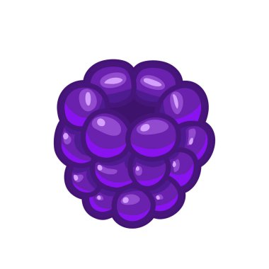 Beyaz arka planda gıda sanat ve illüstrasyon izole tek blackberry berry vektör simgesi