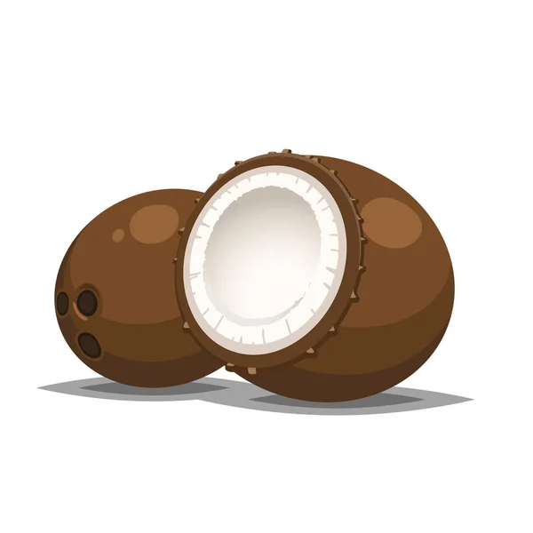 Sliced and full Coconut icon isolated on white for food or summer illustration — Stock Vector