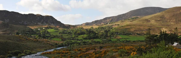 Einige Bäume und kleine Berge in irischer Landschaft — Stockfoto