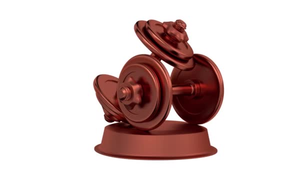 Troféu de Bronze Dumbbell em Rotação Infinita — Vídeo de Stock