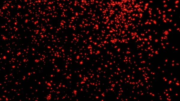 Regnet jede Menge pummelige und winzige rote sechs Zweige Sterne — Stockfoto