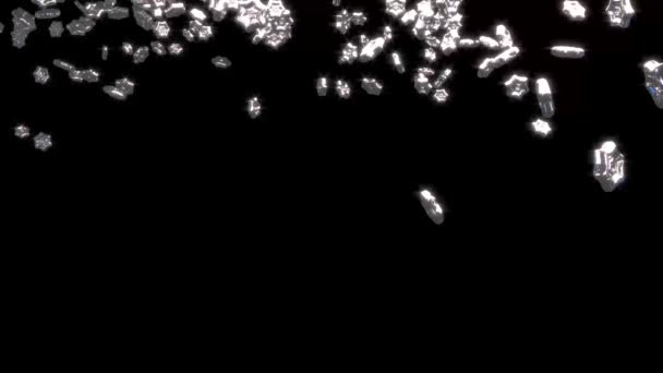Çok büyük tombul gümüş altı şube yağmur yıldız — Stok video