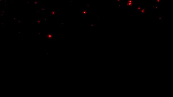 Μικρό Κόκκινο Έξι Branchs Αστέρια Βρέχει Ένα Μαύρο Φόντο — Αρχείο Βίντεο