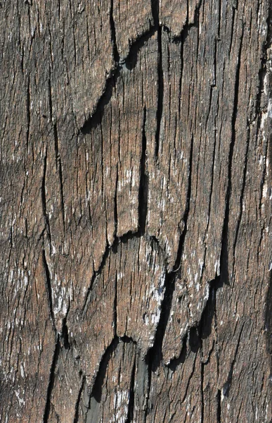 Alcune crepe su una vecchia superficie del fascio marrone — Foto Stock