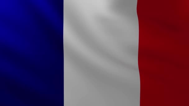 Μεγάλο Φόντο Γαλλική Σημαία Στον Άνεμο Πρότυπα Κυμάτων — Αρχείο Βίντεο