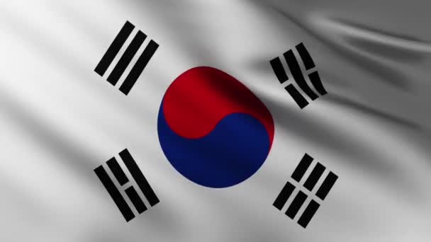Μεγάλη Σημαία Της Νότιας Κορέας Φόντο Φτερουγίζει Στον Άνεμο Πρότυπα — Αρχείο Βίντεο