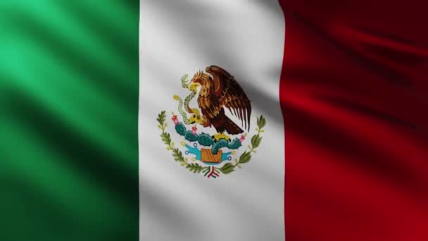 Fondo Bandera Grande México Ondeando Viento Con Patrones Olas — Vídeos de Stock