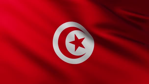 Μεγάλη Σημαία Της Τυνησίας Φόντο Φτερουγίζει Στον Άνεμο Πρότυπα Κυμάτων — Αρχείο Βίντεο