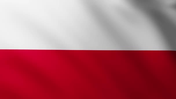 波兰的大旗背景在风中飘扬 波浪形飘扬 — 图库视频影像