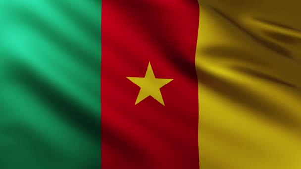 Large Flag Cameroon Background Fluttering Wind Wave Patterns — 비디오