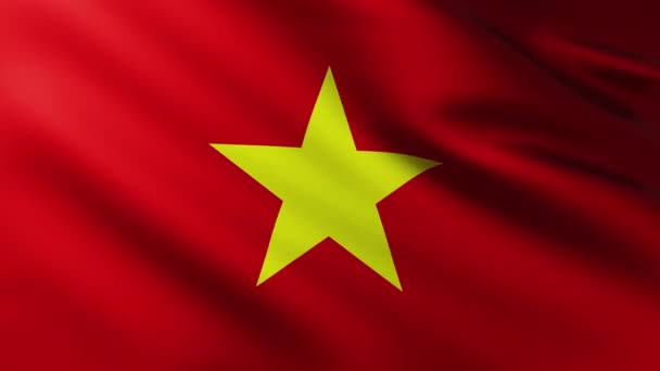 Grand Drapeau Vietnam Flottant Dans Vent Avec Des Motifs Vagues — Video