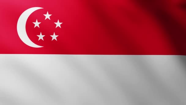 Große Flagge Mit Singapore Vollbildhintergrund Flattert Wind Mit Wellenmustern — Stockvideo