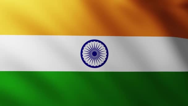 Large Flag India Fullscreen Background Fluttering Wind Wave Patterns — Stock Video
