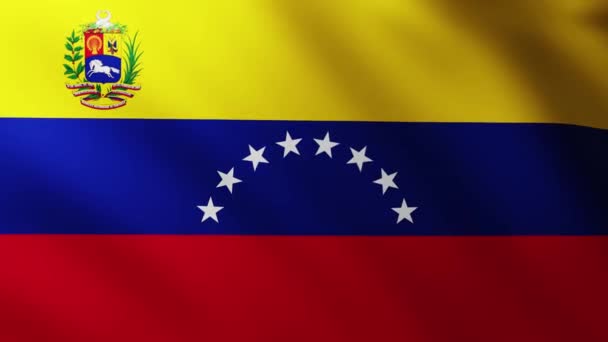 Large Flag Venezuela Background Fluttering Wind Wave Patterns — 비디오