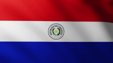 Büyük Paraguay Bayrağı dalga desenleriyle rüzgarda dalgalanan tam ekran fon
