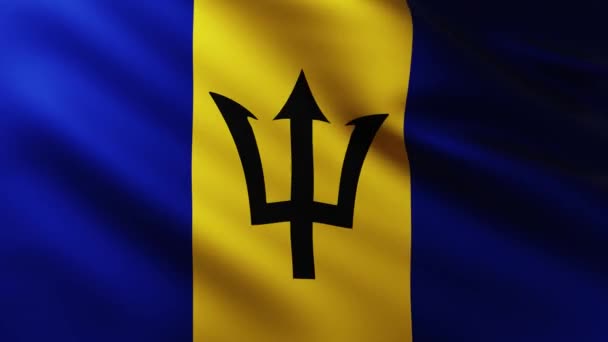 Große Flagge Von Barbados Hintergrund Flattert Wind Mit Wellenmustern — Stockvideo