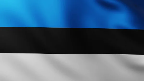 Large Estonian Flag Fullscreen Background Wind Wave Patterns — Stock Photo, Image