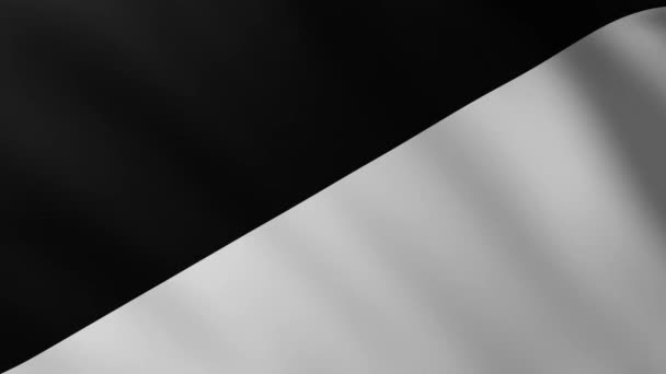 Large Black White Flag Fullscreen Background Fluttering Wind Wave Patterns — Stock Video