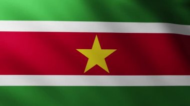 Büyük Surinam Bayrağı dalga desenleriyle rüzgarda dalgalanan tam ekran arkaplan