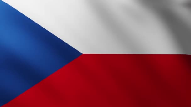 Duża Flaga Republiki Czeskiej Pełnym Ekranie Tło Trzepotanie Wietrze Wzorami — Wideo stockowe