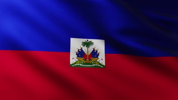 Bandeira Grande Haiti Fundo Tela Cheia Balançando Vento Com Padrões — Vídeo de Stock