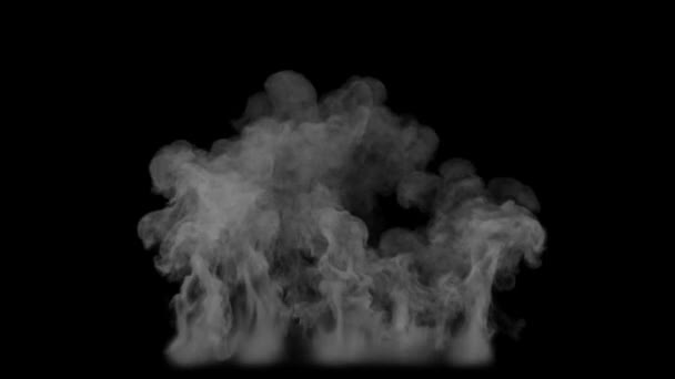 Wall Lightgrey Smoke Steigt Mit 50Fps Vor Schwarzem Hintergrund Auf — Stockvideo