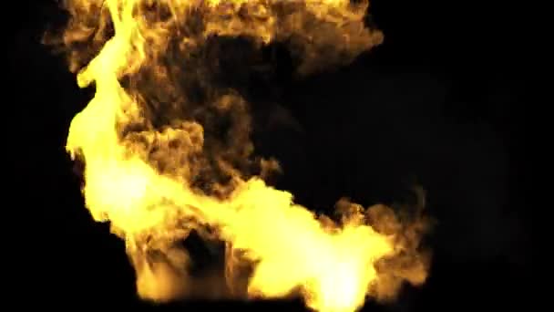 Wild Large Tall Flames Going 50Fps Black Background — Stock Video