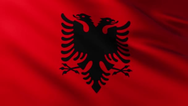 Duża Flaga Albanii Pełnym Ekranie Tło Trzepotanie Wietrze Wzorami Fal — Wideo stockowe