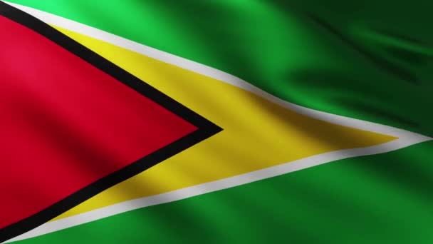 Große Flagge Von Guyana Vollbild Hintergrund Flattert Wind Mit Wellenmustern — Stockvideo
