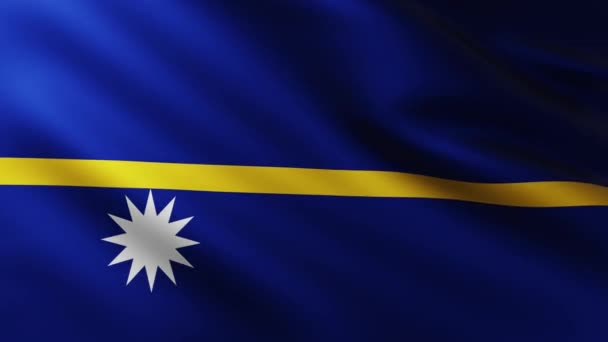 Large Flag Republic Nauru Fullscreen Background Fluttering Wind Wave Patterns — Stock Video